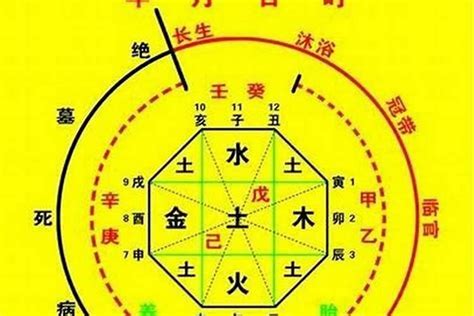 忌土|八字忌土怎么办 (八字喜水用木忌土是什么意思)